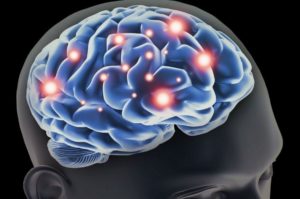 the biology of gambling addiction